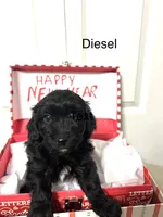 processed/34342f44-c0bb-4e60-894b-5e2e05823c2f/listing/192ea5a1-a4a0-481e-987f-6997789b97e4/c7d2e5fc-c5e9-432f-8ec2-00779f96b716