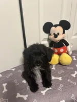 processed/34342f44-c0bb-4e60-894b-5e2e05823c2f/listing/572a2ca3-7cb3-4c2e-924c-e11999fda4fa/6e63ea80-84d4-47be-b071-ee10471ab215