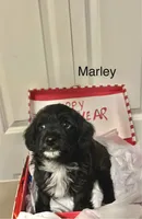 processed/34342f44-c0bb-4e60-894b-5e2e05823c2f/listing/572a2ca3-7cb3-4c2e-924c-e11999fda4fa/9bf4726d-8f12-4183-b08c-1624324c8fb5