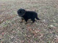 processed/343fe1b9-7d09-485c-ba2a-b1b3b1b22542/listing/33f1d2b3-abcc-4332-876b-65f382ddbb0f/14e87f78-7594-4ab4-aa9f-b444f479fb2d