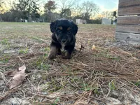 processed/343fe1b9-7d09-485c-ba2a-b1b3b1b22542/listing/33f1d2b3-abcc-4332-876b-65f382ddbb0f/27563214-b8c2-4627-a7da-efac359b5b44