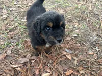 processed/343fe1b9-7d09-485c-ba2a-b1b3b1b22542/listing/33f1d2b3-abcc-4332-876b-65f382ddbb0f/c0a61b8a-3e75-4f12-97da-0a8fce750608