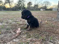 processed/343fe1b9-7d09-485c-ba2a-b1b3b1b22542/listing/33f1d2b3-abcc-4332-876b-65f382ddbb0f/cd6afc65-9a5b-4f26-b114-5649b46e55fc