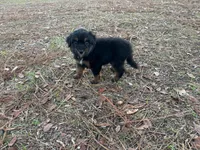 processed/343fe1b9-7d09-485c-ba2a-b1b3b1b22542/listing/33f1d2b3-abcc-4332-876b-65f382ddbb0f/d45c1a7b-137a-4f4b-9877-532ccb0bcf17