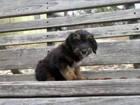 processed/343fe1b9-7d09-485c-ba2a-b1b3b1b22542/listing/33f1d2b3-abcc-4332-876b-65f382ddbb0f/ed220ecb-33d8-4cf9-8113-b7f14df88cd2