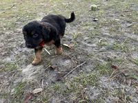 processed/343fe1b9-7d09-485c-ba2a-b1b3b1b22542/listing/7ba9f29b-72f3-4398-aadc-d485fe4ce58e/544c8b8e-1bbd-4dbb-a1ad-6366b1f61f08