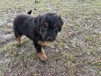 processed/343fe1b9-7d09-485c-ba2a-b1b3b1b22542/listing/7ba9f29b-72f3-4398-aadc-d485fe4ce58e/7191a0fa-7090-4a6d-a692-297b9ca52fb8