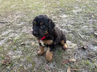 processed/343fe1b9-7d09-485c-ba2a-b1b3b1b22542/listing/7ba9f29b-72f3-4398-aadc-d485fe4ce58e/7b93f41d-07a3-4af6-9d24-4616867f4830