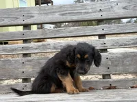 processed/343fe1b9-7d09-485c-ba2a-b1b3b1b22542/listing/7ba9f29b-72f3-4398-aadc-d485fe4ce58e/91cc70cb-44a1-44a2-af2d-4819cdc52636