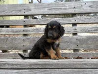 processed/343fe1b9-7d09-485c-ba2a-b1b3b1b22542/listing/7ba9f29b-72f3-4398-aadc-d485fe4ce58e/b4bf42f6-2cee-4a82-8933-2d12297c6262