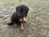 processed/343fe1b9-7d09-485c-ba2a-b1b3b1b22542/listing/7ba9f29b-72f3-4398-aadc-d485fe4ce58e/e3056c50-020a-4c4e-8526-9d23c6ba0db3