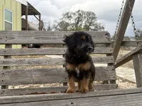 processed/343fe1b9-7d09-485c-ba2a-b1b3b1b22542/listing/abc2d8f6-5084-4ba3-bc74-6724494a3712/ad389f4b-559f-4a12-99e7-88d63f48f492