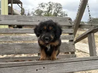 processed/343fe1b9-7d09-485c-ba2a-b1b3b1b22542/listing/abc2d8f6-5084-4ba3-bc74-6724494a3712/cba8aaa4-ec1b-40e0-af4f-4bcc5bd897fc