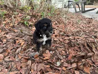 processed/343fe1b9-7d09-485c-ba2a-b1b3b1b22542/listing/bb679fcb-5de2-4c81-bb27-7b6c983fec50/0c024186-3006-4801-b15d-5c05d8af1e21