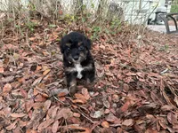 processed/343fe1b9-7d09-485c-ba2a-b1b3b1b22542/listing/bb679fcb-5de2-4c81-bb27-7b6c983fec50/2c0cb7b8-3e9a-45f7-8473-0bbd634e0e4c