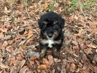 processed/343fe1b9-7d09-485c-ba2a-b1b3b1b22542/listing/bb679fcb-5de2-4c81-bb27-7b6c983fec50/3ebebc06-0629-478c-ab4f-711929d70d2a