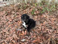 processed/343fe1b9-7d09-485c-ba2a-b1b3b1b22542/listing/bb679fcb-5de2-4c81-bb27-7b6c983fec50/4d6a68ce-5d16-4436-90eb-6be0f0c3b308