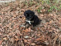 processed/343fe1b9-7d09-485c-ba2a-b1b3b1b22542/listing/bb679fcb-5de2-4c81-bb27-7b6c983fec50/6a4f994d-a730-4ef5-b89b-f53fd5a62c79