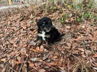 processed/343fe1b9-7d09-485c-ba2a-b1b3b1b22542/listing/bb679fcb-5de2-4c81-bb27-7b6c983fec50/7db44ceb-97d7-4635-9dbe-08267ee478ff