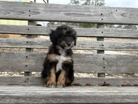 processed/343fe1b9-7d09-485c-ba2a-b1b3b1b22542/listing/bb679fcb-5de2-4c81-bb27-7b6c983fec50/8d13c5c0-e577-404f-a06f-366c468eb606