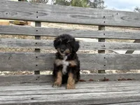 processed/343fe1b9-7d09-485c-ba2a-b1b3b1b22542/listing/bb679fcb-5de2-4c81-bb27-7b6c983fec50/d64b924b-4dff-4d3e-99ce-fbab587bfe77