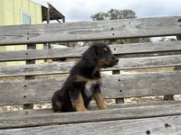 processed/343fe1b9-7d09-485c-ba2a-b1b3b1b22542/listing/bdb0f9ca-79ed-458a-afc9-76aed9f9f366/70336a01-6439-4892-9624-48a9b91ec9f2