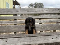 processed/343fe1b9-7d09-485c-ba2a-b1b3b1b22542/listing/bdb0f9ca-79ed-458a-afc9-76aed9f9f366/e079757b-a8e9-4265-8208-1f5329516b05