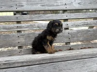 processed/343fe1b9-7d09-485c-ba2a-b1b3b1b22542/listing/be73e0ec-b48e-4965-90b4-fd7f30d3eaca/5b2e4511-27d4-4cdf-bc60-7856459173e1