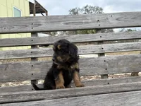 processed/343fe1b9-7d09-485c-ba2a-b1b3b1b22542/listing/be73e0ec-b48e-4965-90b4-fd7f30d3eaca/d0a2d224-9fa7-4a82-8bcb-0d3c96737153