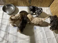 processed/3442bb17-9f5a-4d60-bfdc-9df9b5c8589b/facility/83749cc8-3c18-4c85-8656-d6e56b26fc92