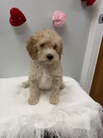 processed/3442bb17-9f5a-4d60-bfdc-9df9b5c8589b/listing/605f50ad-8671-4cf8-a5de-ab608b4122f7/3fbfbea8-7aa6-4a86-8f63-46eae8a156a6