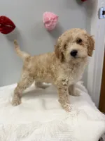 processed/3442bb17-9f5a-4d60-bfdc-9df9b5c8589b/listing/605f50ad-8671-4cf8-a5de-ab608b4122f7/670eb67c-5d3a-4613-9c14-34b000572ad9