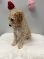 processed/3442bb17-9f5a-4d60-bfdc-9df9b5c8589b/listing/605f50ad-8671-4cf8-a5de-ab608b4122f7/6d5d9109-3add-4ed9-b430-822f8126a062