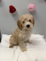 processed/3442bb17-9f5a-4d60-bfdc-9df9b5c8589b/listing/605f50ad-8671-4cf8-a5de-ab608b4122f7/d9707711-2494-4f77-b17f-50562efc1d91