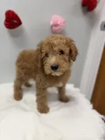 processed/3442bb17-9f5a-4d60-bfdc-9df9b5c8589b/listing/7e8cd7d5-f192-42f4-8061-b1bae8ef62e1/3d0ae3e2-9640-4b23-96c8-ce52ce4752e7