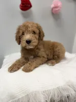 processed/3442bb17-9f5a-4d60-bfdc-9df9b5c8589b/listing/7e8cd7d5-f192-42f4-8061-b1bae8ef62e1/ae1c74b6-1233-4110-96a6-76b33e7adf02