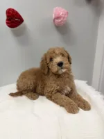 processed/3442bb17-9f5a-4d60-bfdc-9df9b5c8589b/listing/7e8cd7d5-f192-42f4-8061-b1bae8ef62e1/e39ce807-6f93-4fcd-b1ad-86f144ad4224