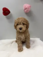 processed/3442bb17-9f5a-4d60-bfdc-9df9b5c8589b/listing/e3ea56ae-103f-4aaa-8822-768d7aa95696/11a0d899-e090-48da-b156-c6e770f46156