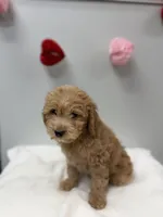 processed/3442bb17-9f5a-4d60-bfdc-9df9b5c8589b/listing/e3ea56ae-103f-4aaa-8822-768d7aa95696/3ab4c8df-63e5-4d55-ab70-3df0f0d491f1