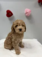 processed/3442bb17-9f5a-4d60-bfdc-9df9b5c8589b/listing/e3ea56ae-103f-4aaa-8822-768d7aa95696/3c8ce81f-7fc5-46b1-998c-247a4ccea997