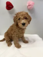 processed/3442bb17-9f5a-4d60-bfdc-9df9b5c8589b/listing/eae65d06-de11-4917-8607-ef9d1a970e52/4fb62ddc-1b72-4186-8e69-991f1e4f0a63