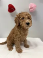 processed/3442bb17-9f5a-4d60-bfdc-9df9b5c8589b/listing/eae65d06-de11-4917-8607-ef9d1a970e52/58c09c3d-f7ea-46d4-aea8-e4f68c41f153