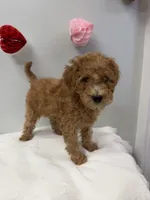 processed/3442bb17-9f5a-4d60-bfdc-9df9b5c8589b/listing/eae65d06-de11-4917-8607-ef9d1a970e52/9c4ae325-1bc6-46fd-af80-a46ad502d590