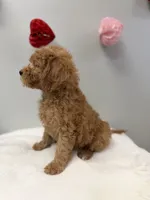 processed/3442bb17-9f5a-4d60-bfdc-9df9b5c8589b/listing/eae65d06-de11-4917-8607-ef9d1a970e52/bd281cbc-6203-4293-bc34-ada4209e93c9