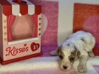 processed/3449d3b1-77ae-4043-9437-2d1208ffe7ad/listing/51629193-0b63-494a-a4e0-15cada497ad0/0d6ce13f-cc4e-44c7-b491-020832240625