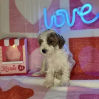 processed/3449d3b1-77ae-4043-9437-2d1208ffe7ad/listing/51629193-0b63-494a-a4e0-15cada497ad0/4b6d9835-e334-440d-8fff-36da6a6eca65