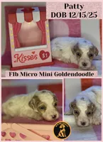 processed/3449d3b1-77ae-4043-9437-2d1208ffe7ad/listing/51629193-0b63-494a-a4e0-15cada497ad0/b22995b0-1633-449b-8d63-c0e0dc895612