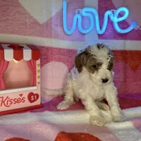 processed/3449d3b1-77ae-4043-9437-2d1208ffe7ad/listing/51629193-0b63-494a-a4e0-15cada497ad0/cdd8f51c-4352-4b29-bf55-1814675b34d6