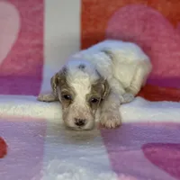 processed/3449d3b1-77ae-4043-9437-2d1208ffe7ad/listing/51629193-0b63-494a-a4e0-15cada497ad0/d0f81ea4-34b6-4e2e-b7f2-79453b832085