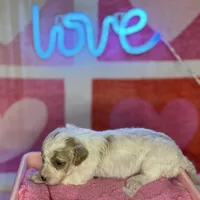 processed/3449d3b1-77ae-4043-9437-2d1208ffe7ad/listing/51629193-0b63-494a-a4e0-15cada497ad0/eaf98f6f-268b-4a69-a73c-35ef0a2d48c3